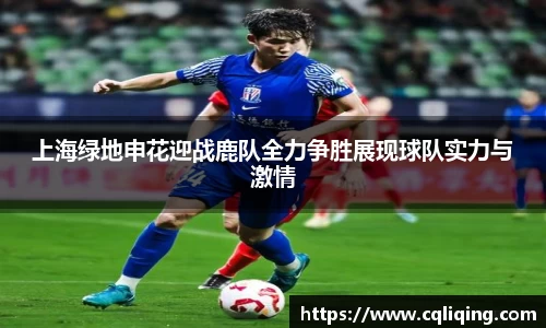 xingkong.com上海绿地申花迎战鹿队全力争胜展现球队实力与激情